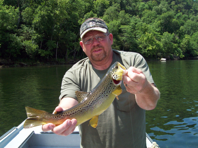 Trout Fishing Limits in White River AR