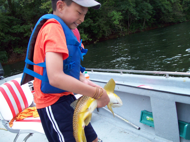 Trout Life Span in and near White River Arkansas